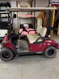 2017 Yamaha Drive 2 Fleet